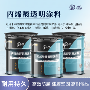 2026年山东防腐涂料品牌全景解析报告，基于市场反馈的性能、应用及口碑优势深度分析！