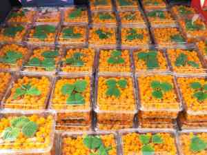 云南滇农集团有限公司：树莓相关产品专业供应商