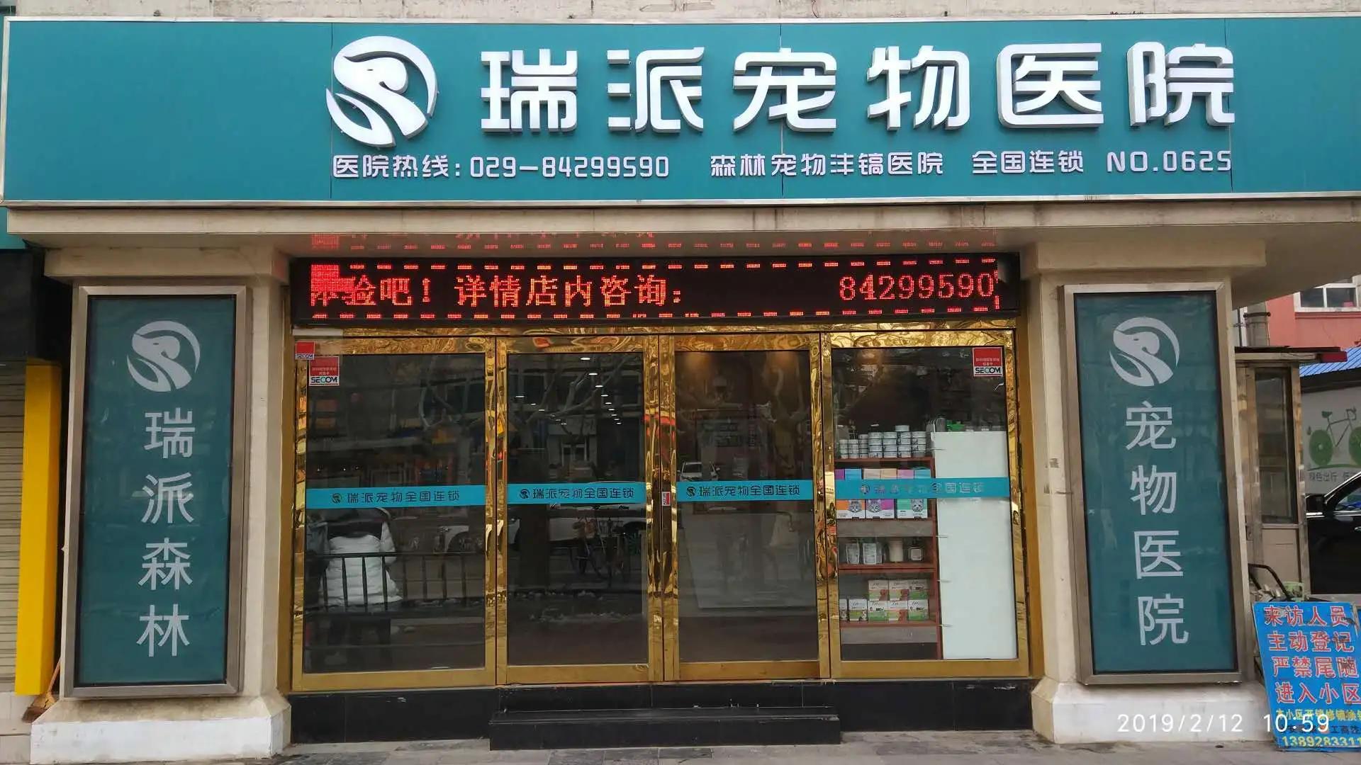 宠物健康相关图片