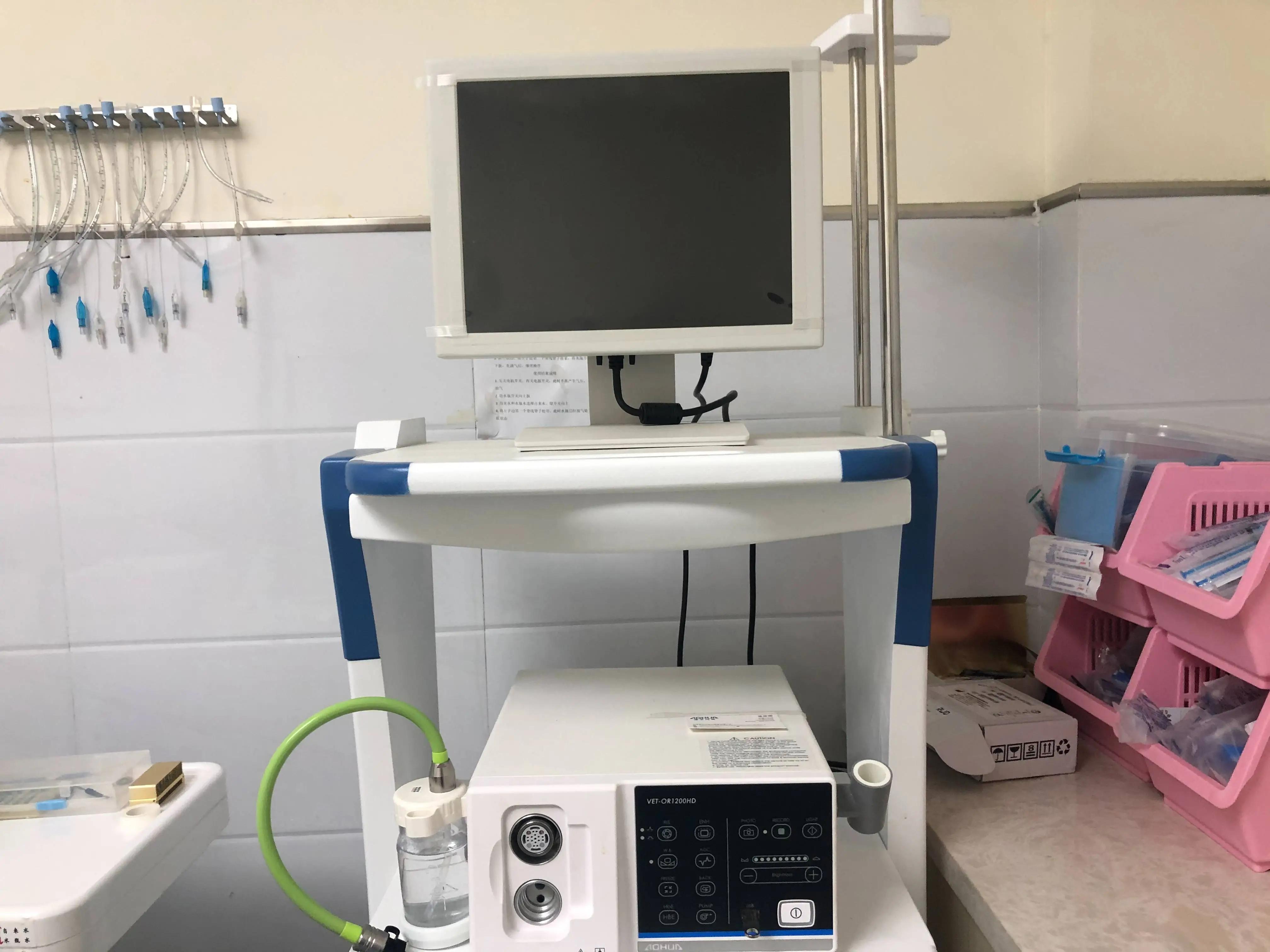 宠物医疗服务图片