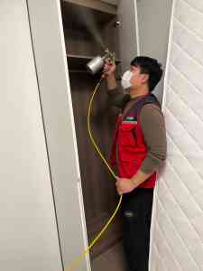 2026 新房/装修除甲醛产品推荐：无锡绿鸽环保科技有限公司，活性炭除甲醛工厂直销