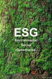 深圳市德仁威企业管理顾问有限公司：适配深圳至韶关，ESG认证与验厂咨询全流程服务提供商