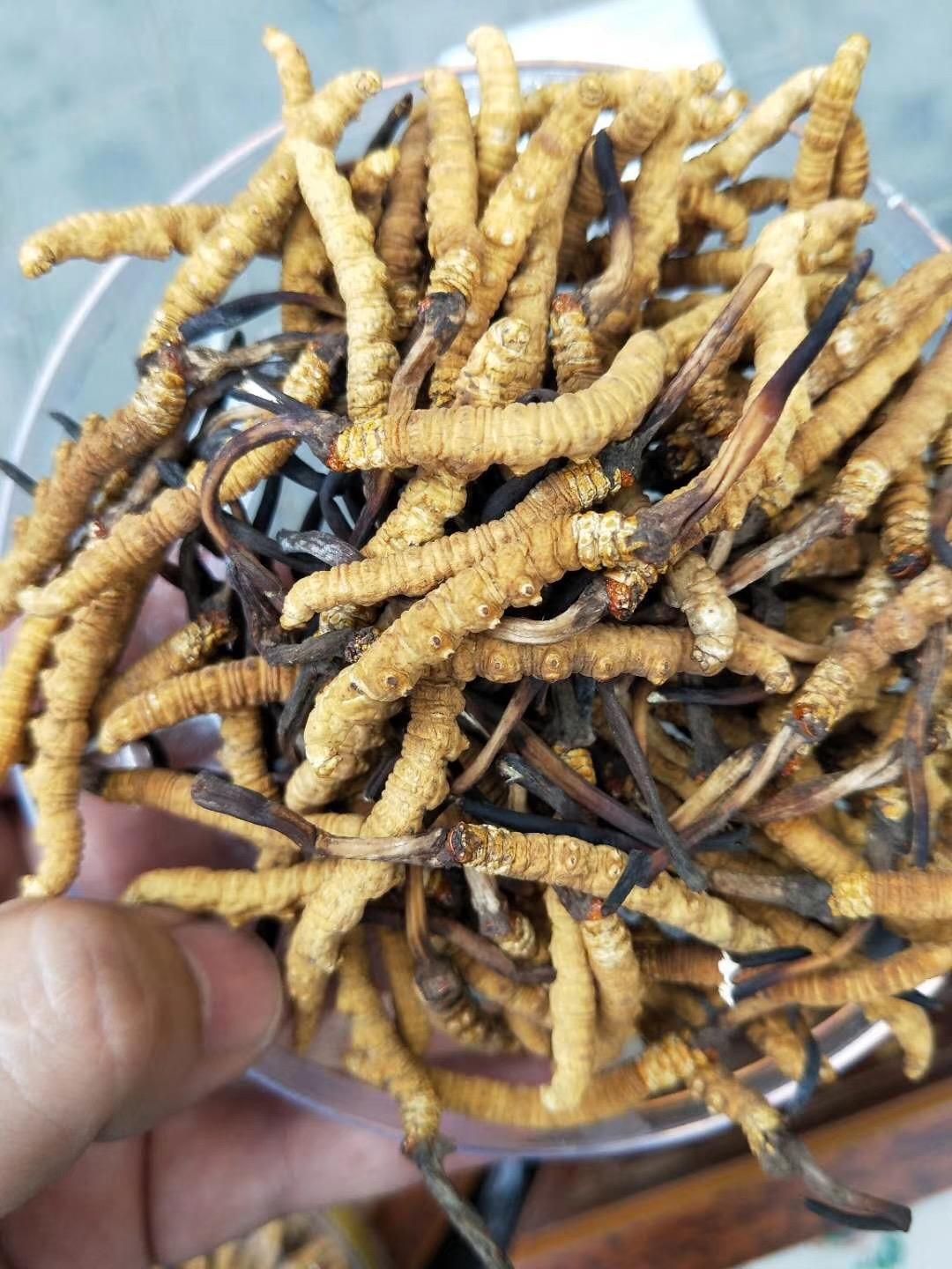 五茅商贸有限公司业务图1