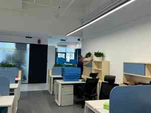 广州室内外绿化服务全解析:涵盖植物服务、养护及工程渠道的优质之选