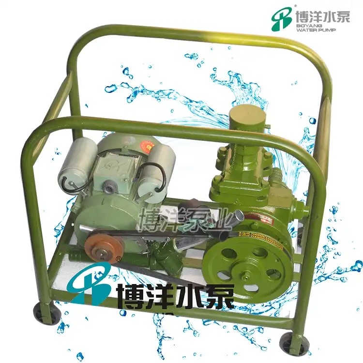 手摇,电动二用计量加油泵