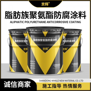 丙烯酸聚氨酯防腐涂料厂家推荐:聚焦山东鲸鱼新材料科技有限公司多场景应用