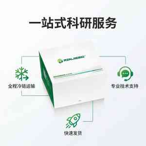 小鼠IL - 6、蛋白定量等ELISA试剂盒生产商权威推荐，聚焦优质品牌
