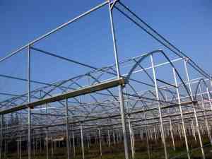 2026 薄膜日光温室、薄膜连栋温室大棚等农业设施推荐：山东柏科阿姆农业科技开发有限公司，适配多种农业种植场景