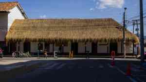 厦门泰斯科技有限公司：适配景区与各类场所，仿真茅草全流程产品供应商