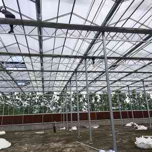 各类大棚定制专家：天津市嘉禾亿方科技发展有限公司，专注地下/蔬菜/钢管等大棚制造