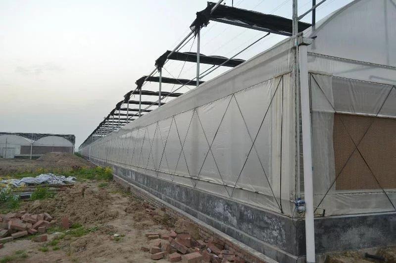 温室图片