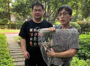 北京、石家庄、河北、唐山、天津找猫服务推荐:专业团队高效寻宠!