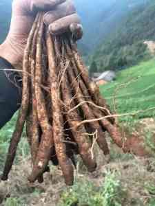 冷冻车配送、调料批发等厂家推荐：聚焦优质特产与食材供应