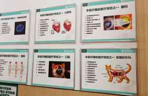 郑州宠物手术、骨科清洁，洛阳护理，安阳心脏科产品，西安在线咨询宠物医院品牌推荐