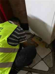 2026年东莞白蚁防治服务公司推荐：聚焦东莞市科力白蚁防治工程有限公司服务案例及优势解析