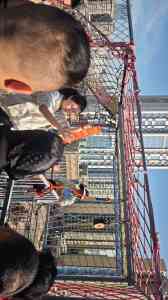 2026年海南消防培训公司推荐：涵盖儋州、海口、三亚等地的消防安全管理员考证与培训机构精选