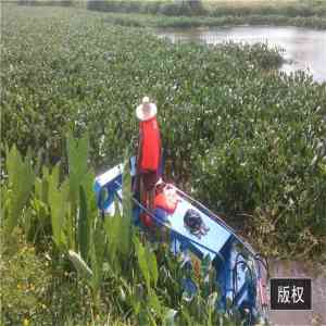 青州科大环保机械有限公司：河道、湖泊割草船专业定制厂家
