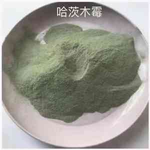 哈茨木霉菌原菌种、原粉订制及代加工服务厂家推荐：农用微生物菌剂实力之选
