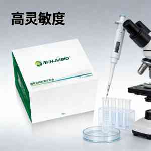 上海仁捷生物科技有限公司：小鼠β淀粉样蛋白(Aβ)等ELISA科研试剂盒优质厂家，品质有保障