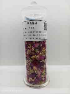 寄生虫/动物/中药/植物/昆虫标本厂家推荐:专业源头供货,品质有保障