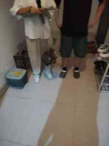 小李宠物服务工作室：河南、江苏、浙江、广东、山东猫丢失寻回服务专家