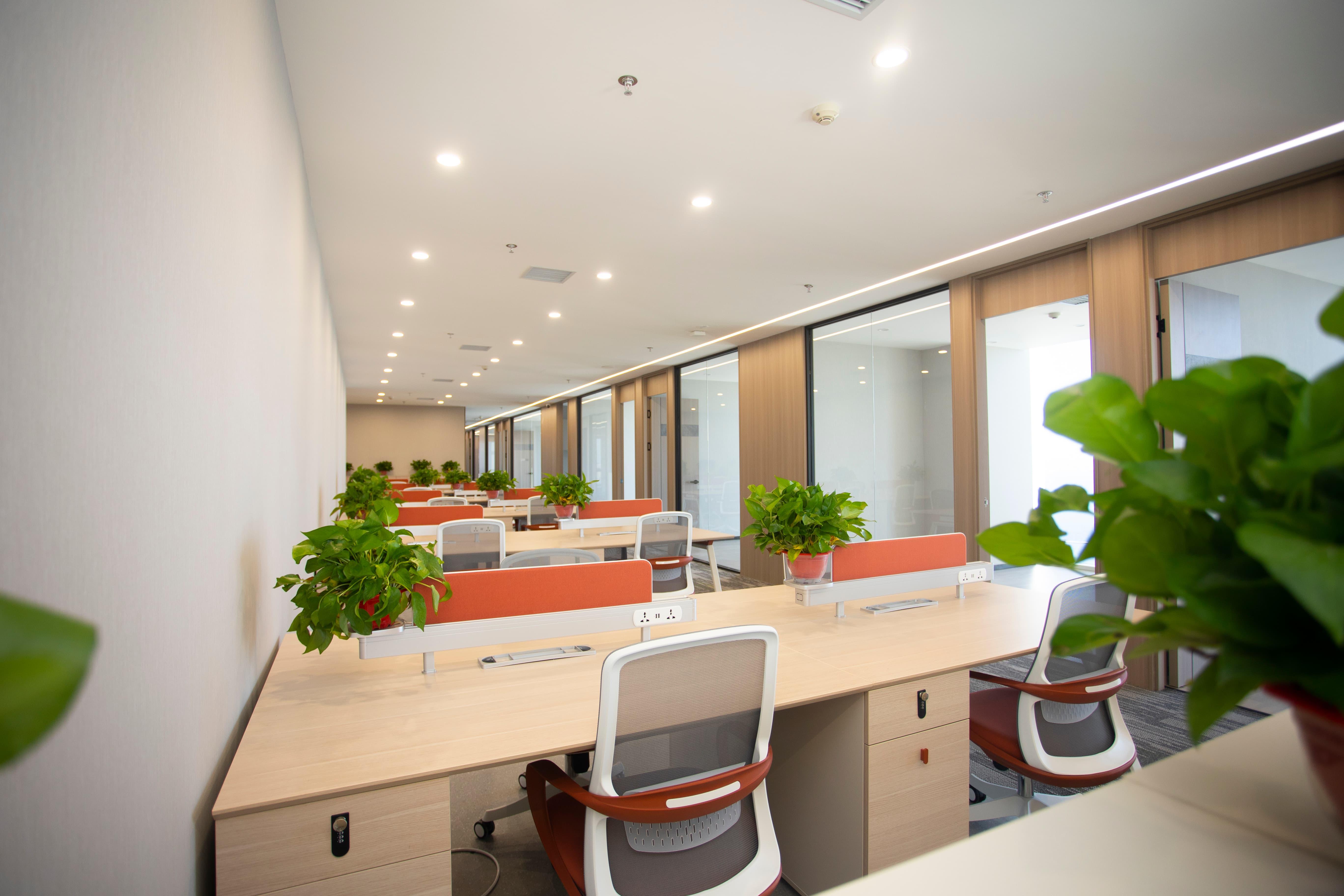 律师工作相关图片