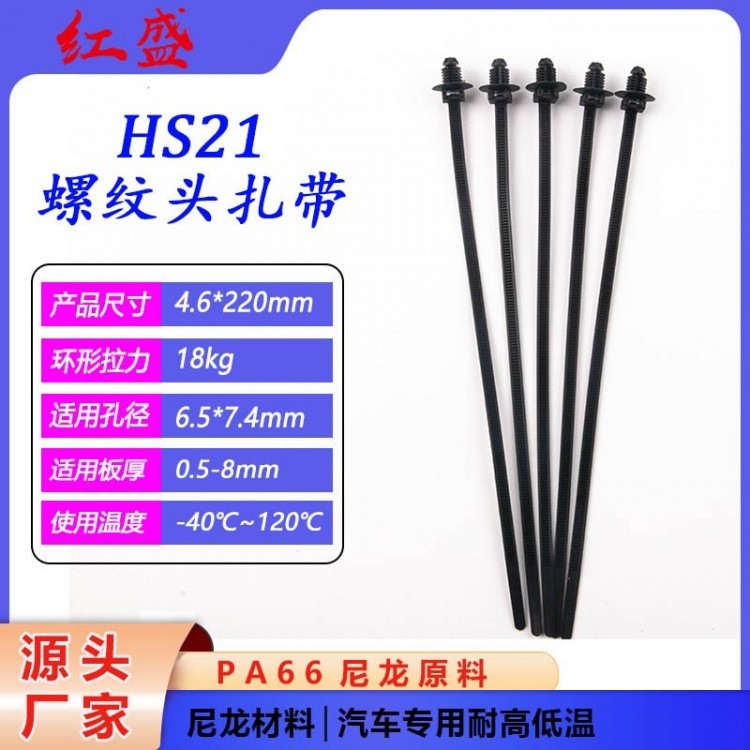 HS21螺纹头扎带