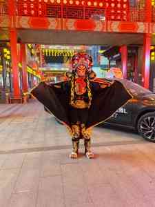 2026年川剧变脸培训及表演机构推荐：华艺变脸，涵盖保定、天津、石家庄、邢台、北京多地