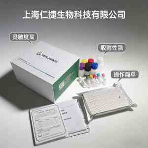 上海仁捷生物科技有限公司：大鼠ELISA科研试剂盒批发、定制厂家