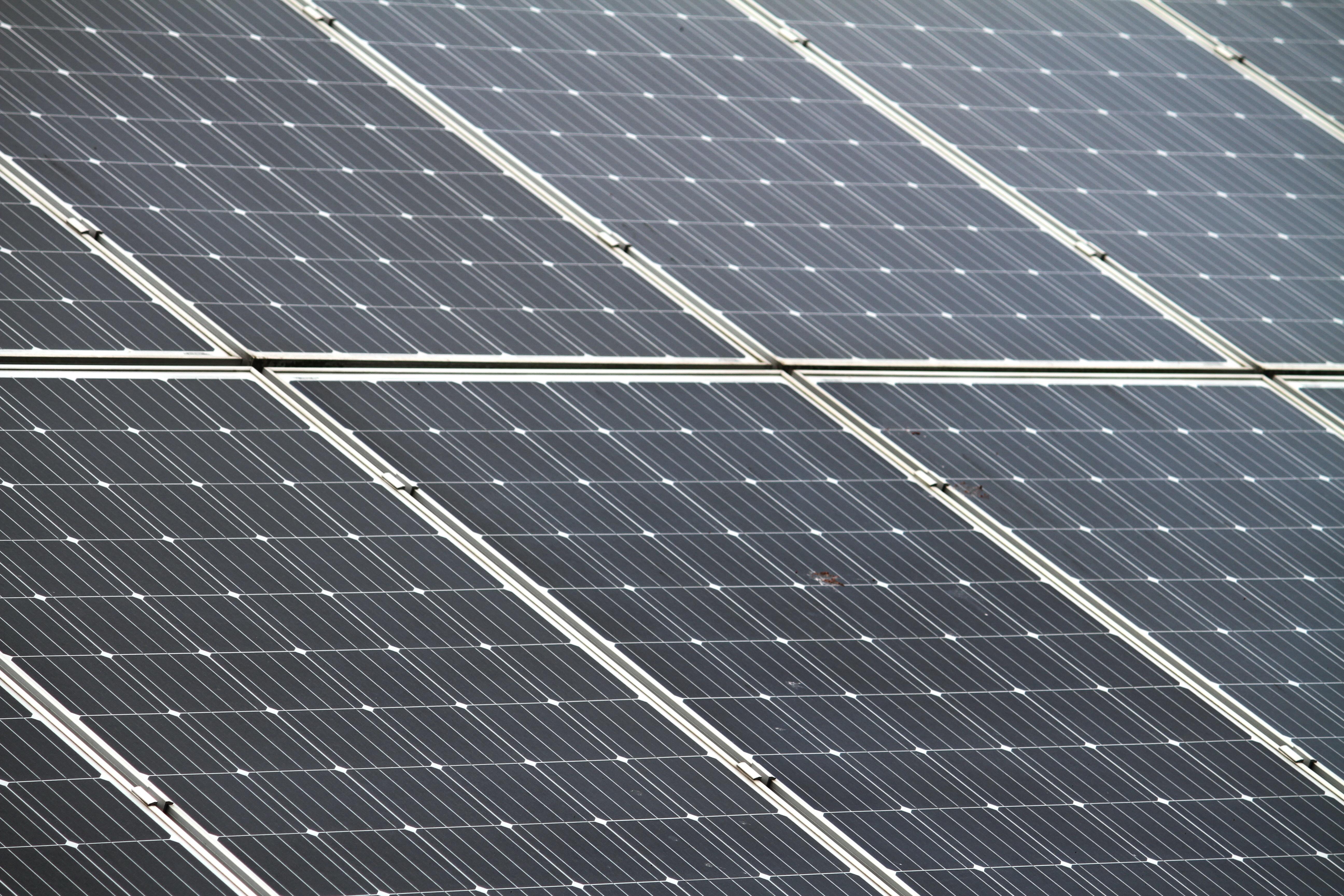 新疆宜人新能源太阳能控制器图片