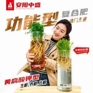 生物有机、微生物菌等肥料厂家推荐:安阳中盛肥业等厂商实力之选