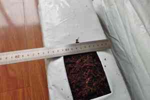 椰糠条、椰砖等种植基质供应商推荐:厂家之寿光市绿田国际商贸有限公司