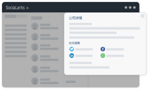福建外贸智能开发、山东邮件优化等服务推荐：聚焦优质数字化解决方案