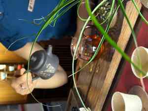 北京海淀区优选茶空间餐厅推荐:商务洽谈、清幽私享之佳选