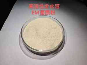 农用、水产及种植EM菌厂家推荐:聚焦功能菌产品源头定制企业