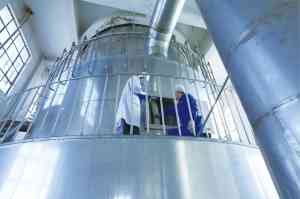 驼奶粉优质品牌厂家推荐：聚焦驼闻天下等厂家产品质量与市场优势