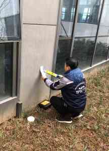蚌埠与合肥消杀除虫服务推荐:专业团队为您打造无虫环境