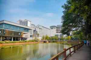 荔湾、海珠、黄埔等地学校管理与培训推荐:优质选择助力学生成长
