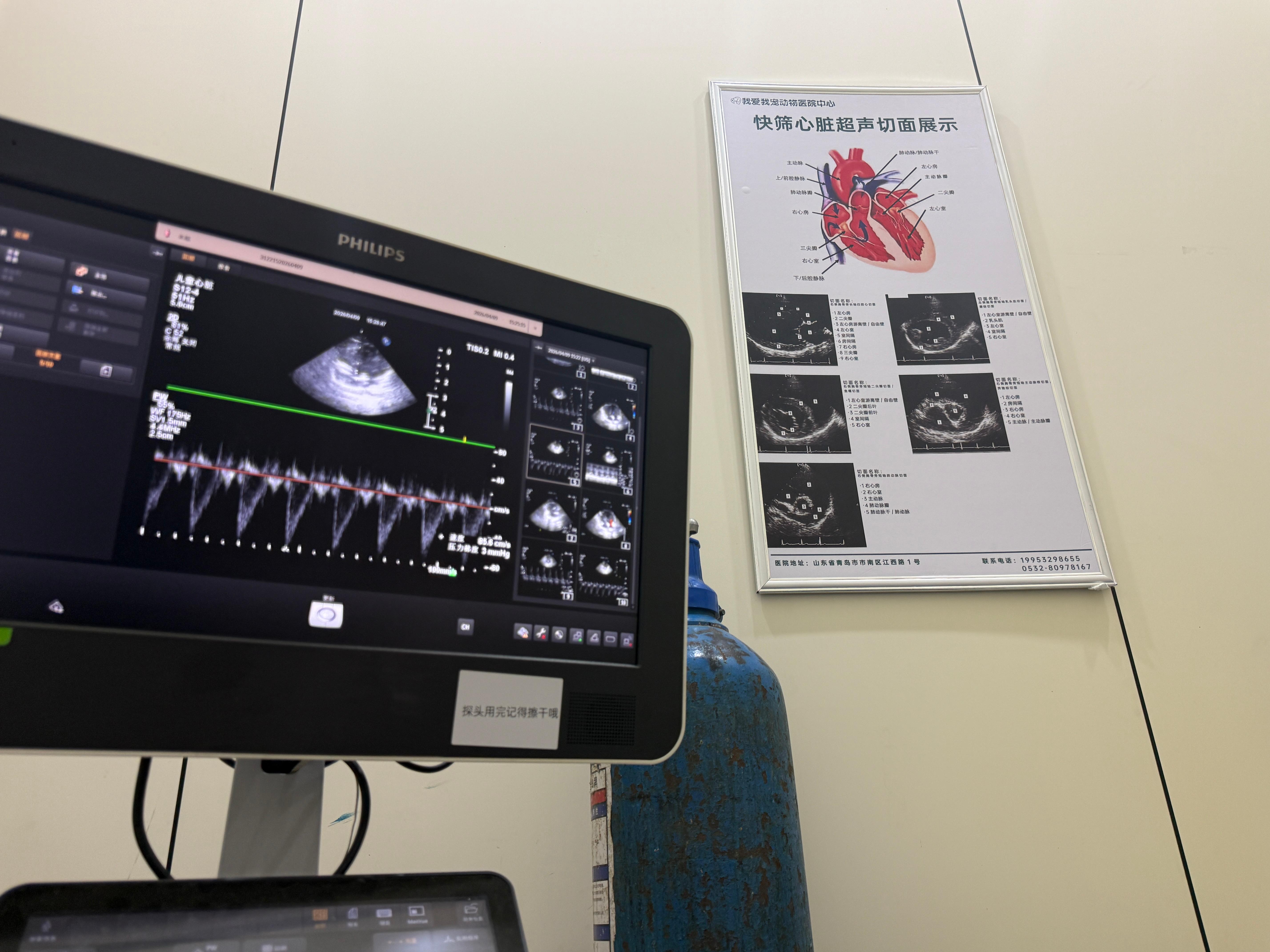 宠物CT检查相关图片