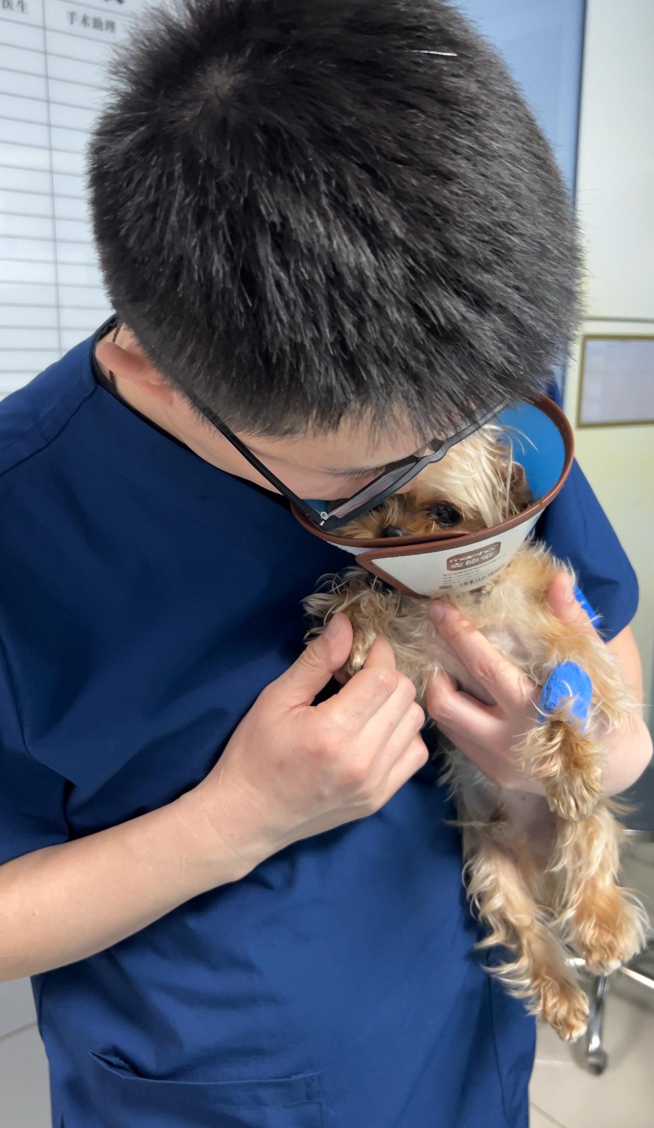 宠物医院相关图片