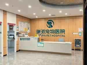 郑州、安阳、洛阳、西安好评宠物医院推荐:清洁、筛查、护理全搞定