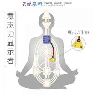 推荐！MBTI职业性格测试、零成本创业及身心灵疗愈项目优质机构