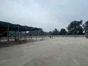 重庆犬能训宠物服务有限公司：成年犬服从性训练、过度吠叫解决服务提供商