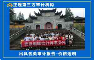 武汉工程审计、工会审计等服务机构推荐：聚焦专业审计服务实力解析