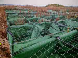 PVC格宾网、焊接连锁笼等加工厂家推荐：聚焦优质企业产品优势解析