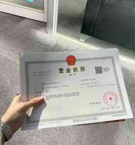 浙江注册公司网上申请入口及流程解析,杭州靠谱注册服务商家推荐