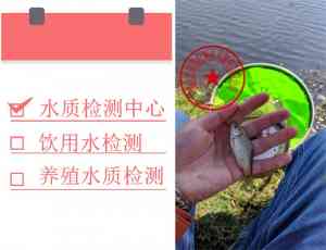海南泳池、甘肃二次供水、上海工业废水等水质检测机构优质推荐