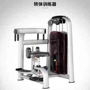 蝴蝶机、坐姿划船器等室内健身器材定做及制造商推荐：厂家精选