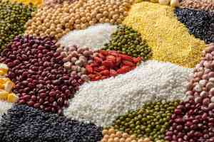 优质五谷杂粮代工生产商推荐：聚焦合肥谷粒食品等源头厂家实力解析