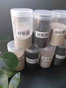 反硝化、复合、厌氧等污水处理菌种厂家推荐：聚焦优质企业实力解析